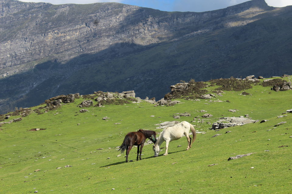 Photo of Bekaltal-Brahamtaal Himalyan Adventure Trek by Anshul Sharma