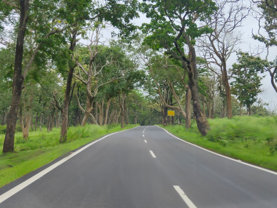 Photo of Forest stay at Bandipur by Midhun