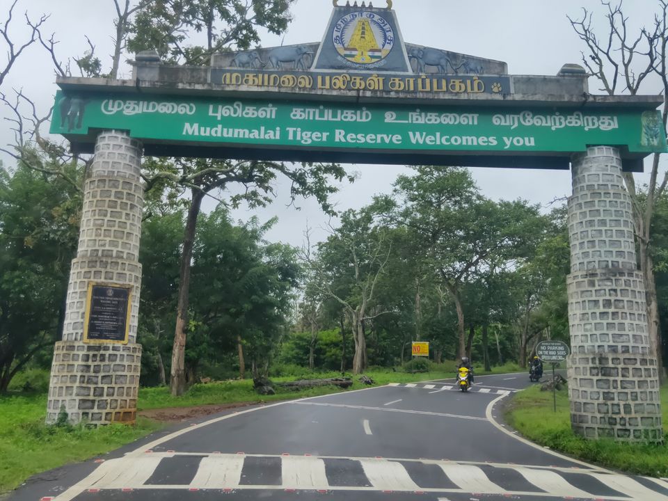 Photo of Forest stay at Bandipur by Midhun