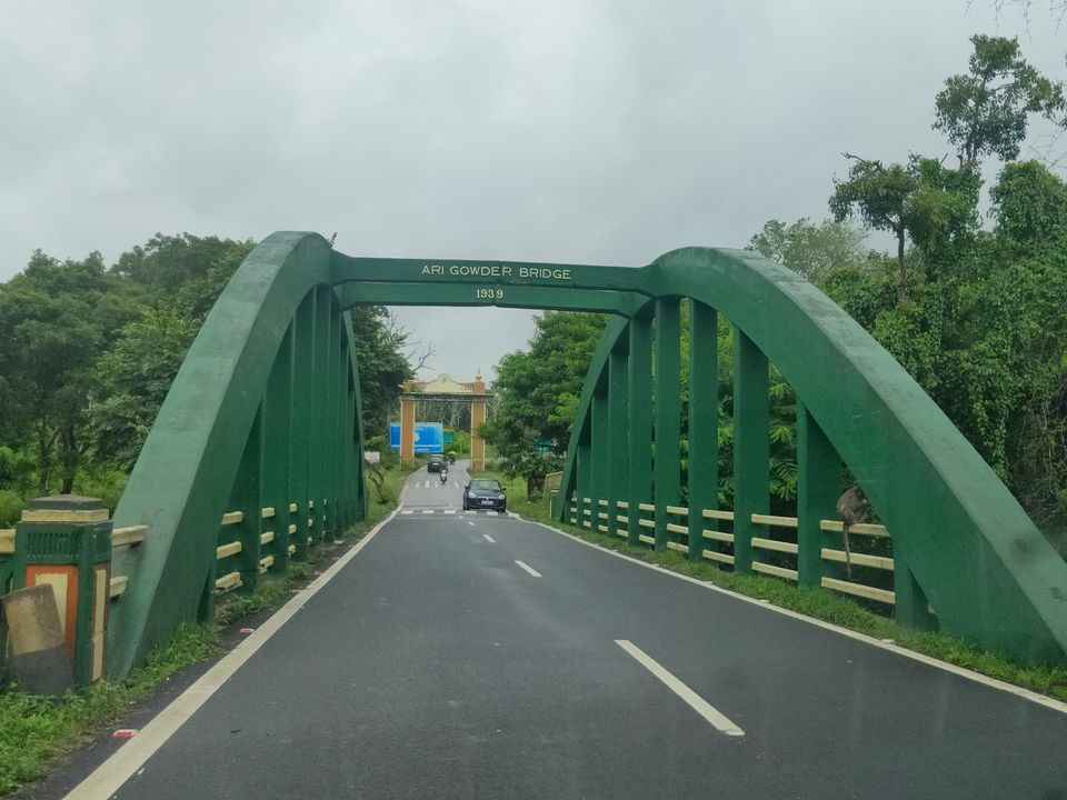 Photo of Forest stay at Bandipur by Midhun
