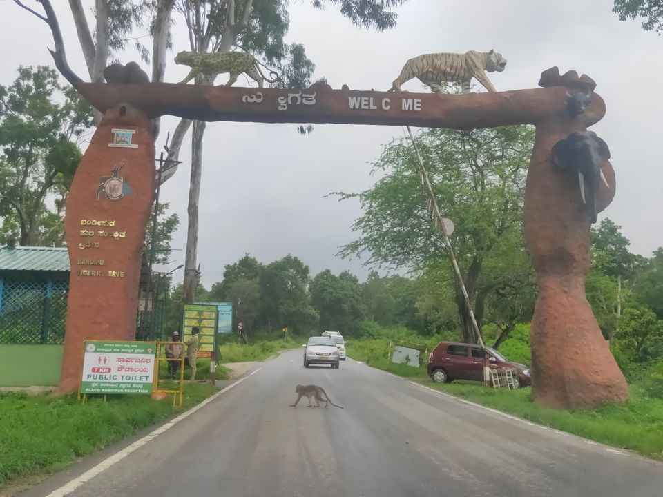 Photo of Forest stay at Bandipur by Midhun
