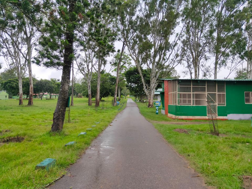 Photo of Bandipura Tiger Reserve by Midhun