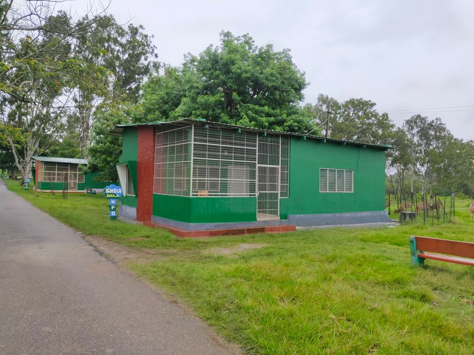 Photo of Bandipura Tiger Reserve by Midhun