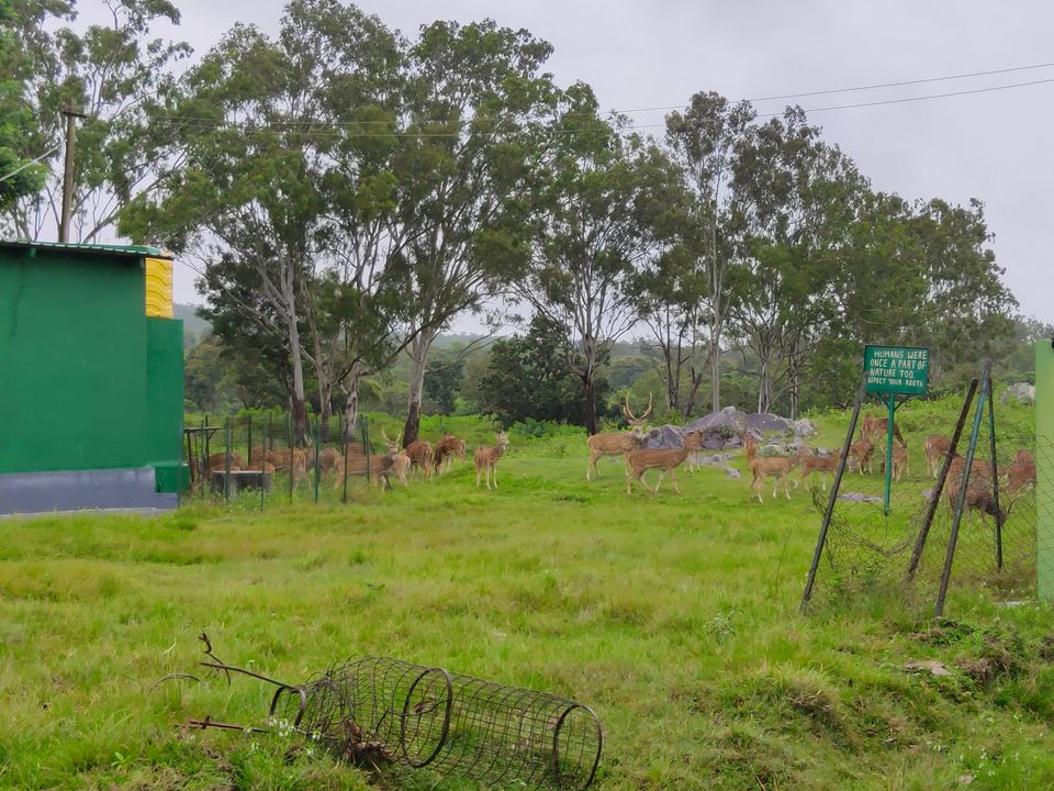 Photo of Bandipura Tiger Reserve by Midhun
