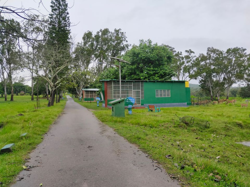 Photo of Bandipura Tiger Reserve by Midhun
