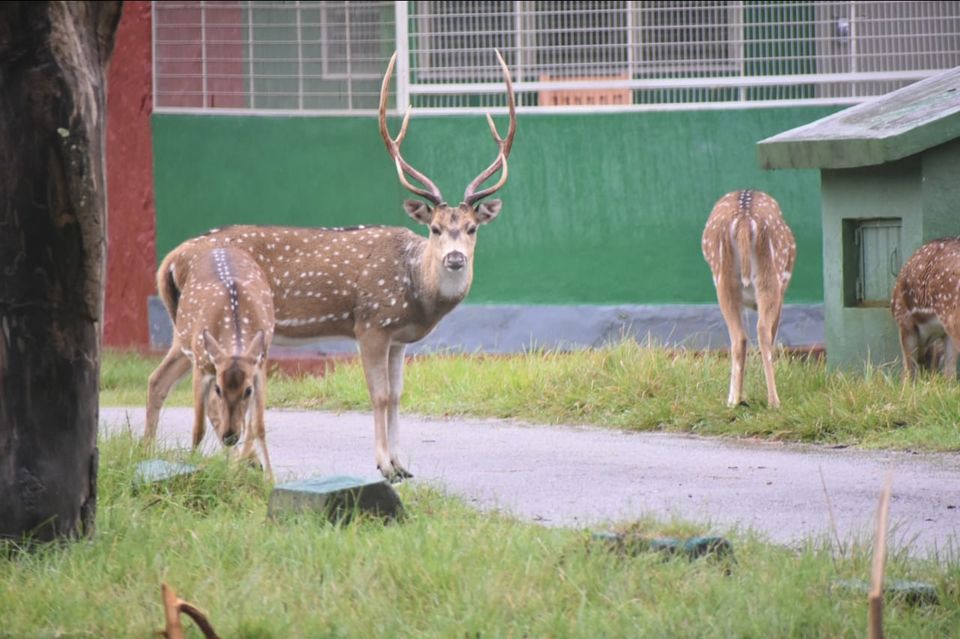 Photo of Bandipura Tiger Reserve by Midhun