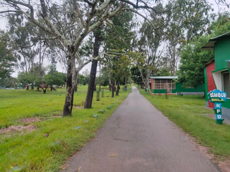Photo of Bandipura Tiger Reserve by Midhun
