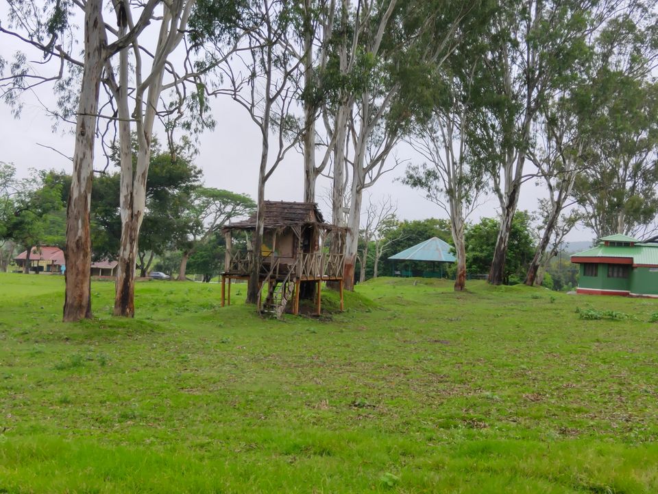 Photo of Bandipura Tiger Reserve by Midhun