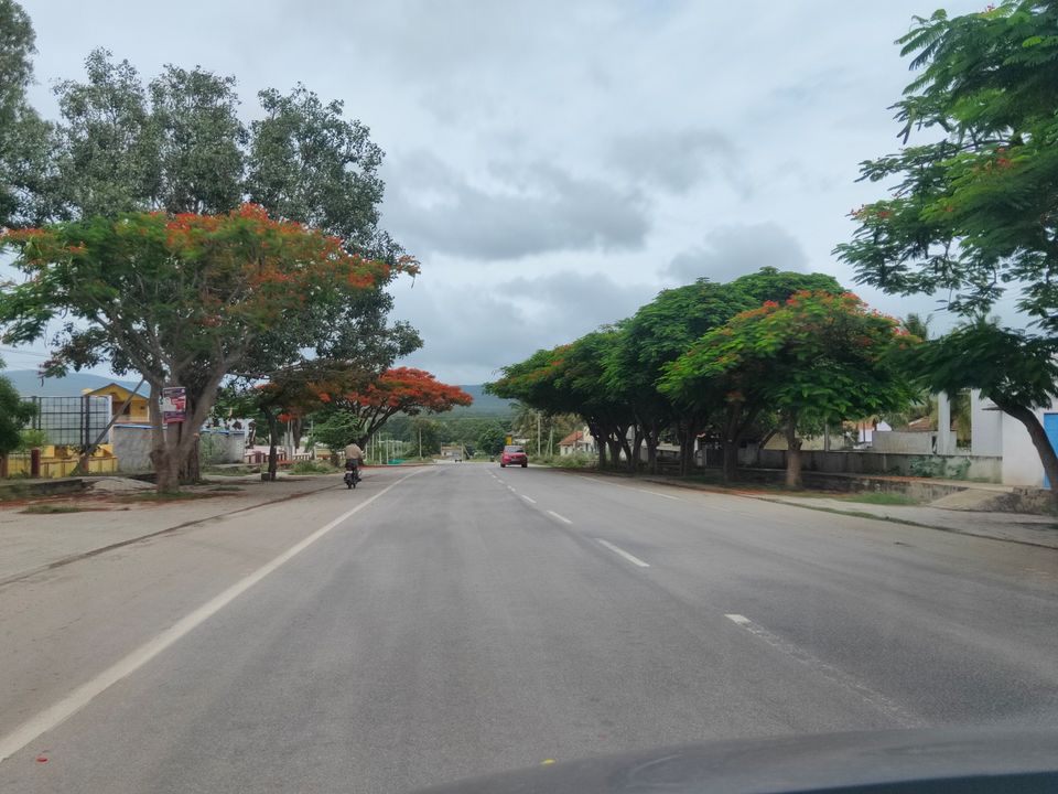 Photo of Forest stay at Bandipur by Midhun