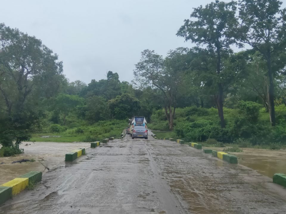 Photo of Forest stay at Bandipur by Midhun