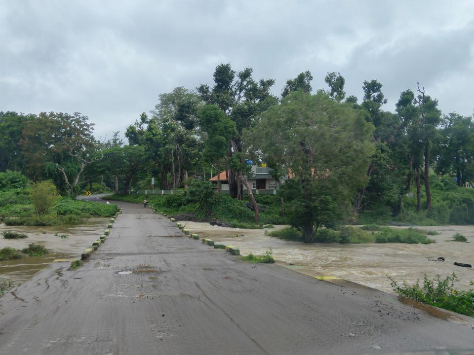 Photo of Forest stay at Bandipur by Midhun