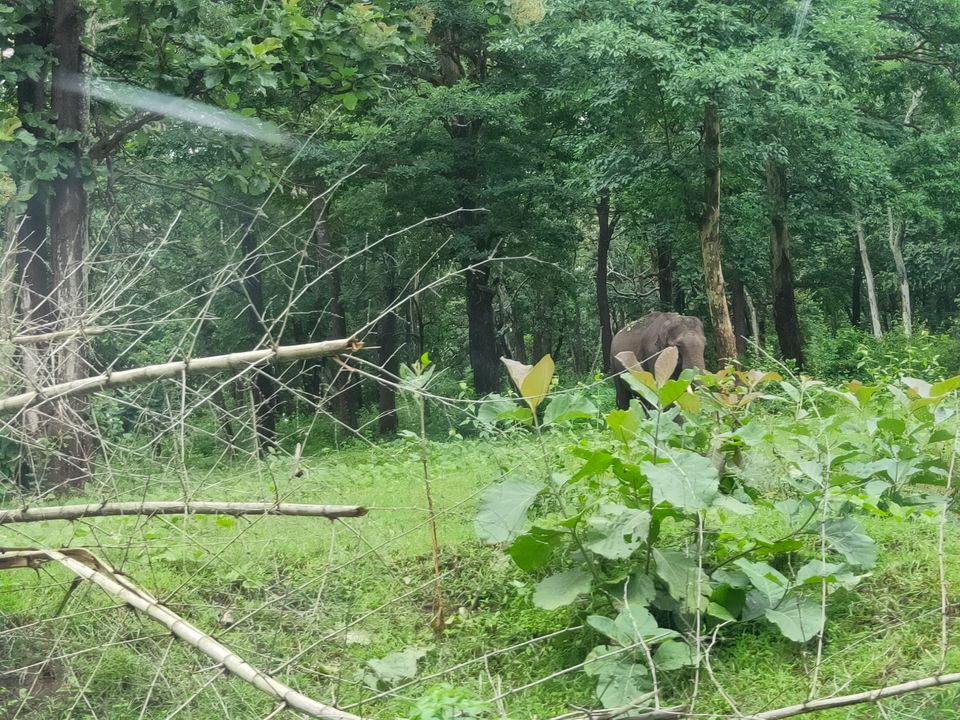 Photo of Forest stay at Bandipur by Midhun