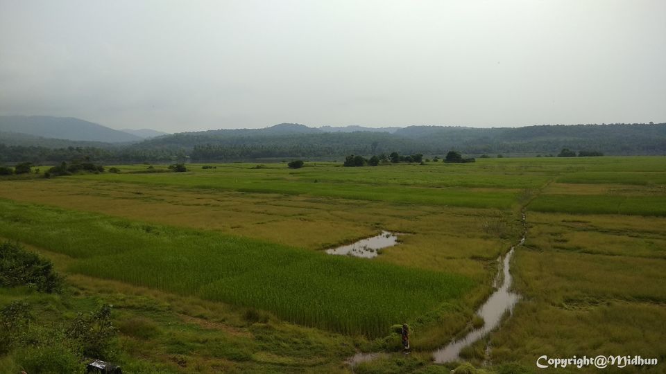 Photo of A Journey Through Beautiful Konkan Railways 7/14 by Midhun