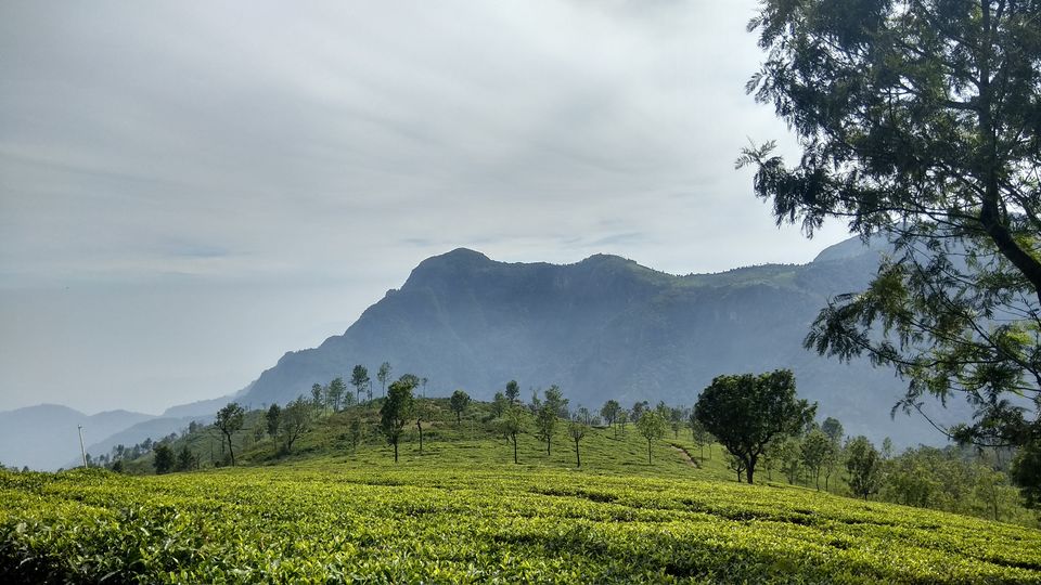 Photo of Coonoor, Tamil Nadu, India by Midhun