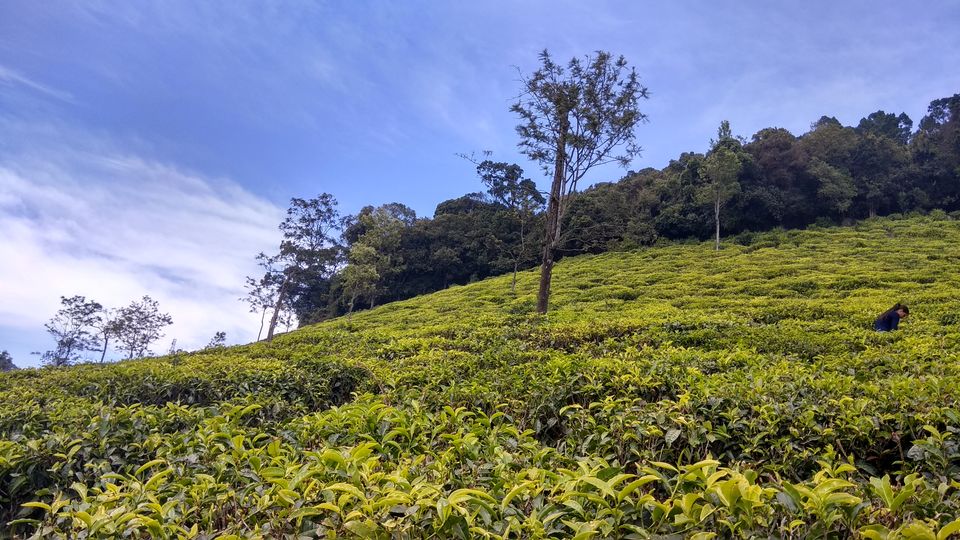 Photo of Coonoor, Tamil Nadu, India by Midhun