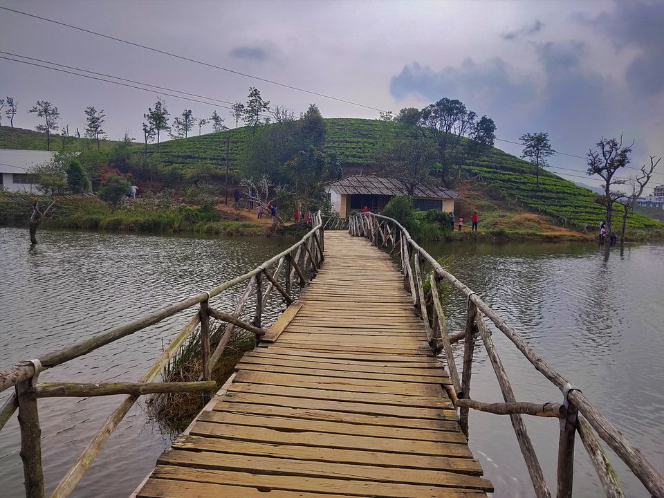 Photo of Family Trip to Vagamon & Idukki by Midhun
