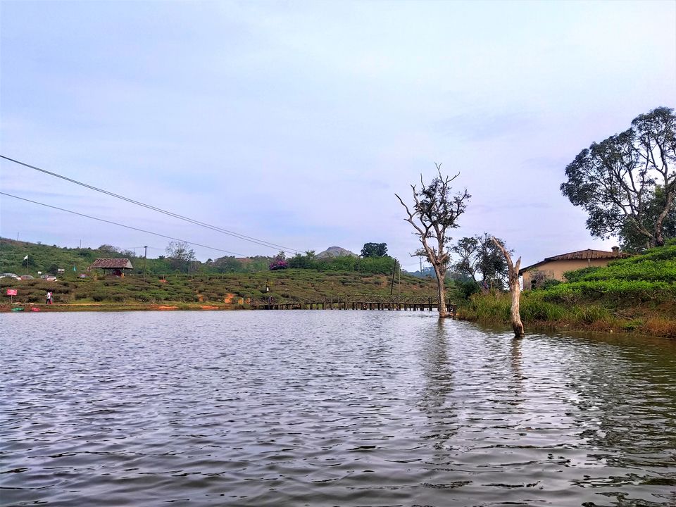 Photo of Family Trip to Vagamon & Idukki by Midhun