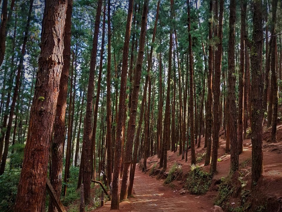 Photo of Family Trip to Vagamon & Idukki by Midhun