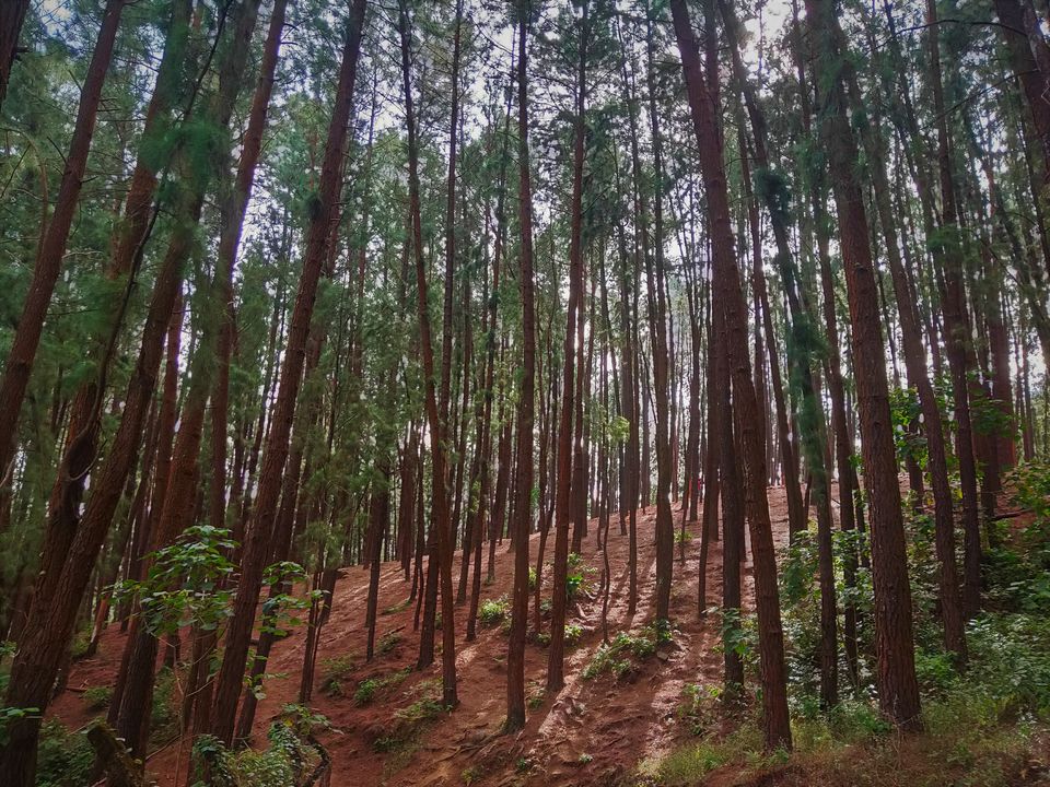 Photo of Family Trip to Vagamon & Idukki by Midhun