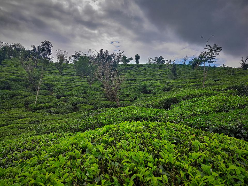 Photo of Family Trip to Vagamon & Idukki by Midhun