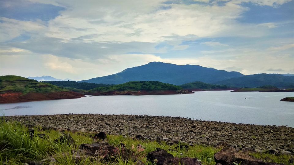 Photo of Into the Wild - Trip to Wayanad & Mudumalai by Midhun