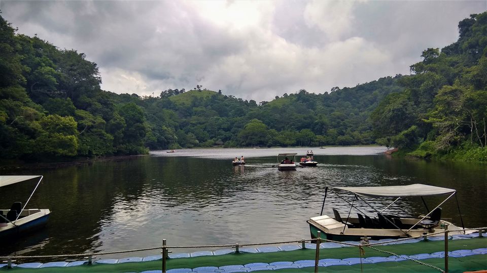 Photo of Wayanad, Kerala, India by Midhun