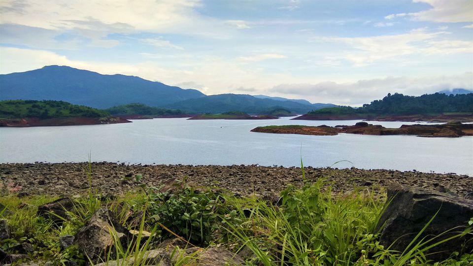 Photo of Into the Wild - Trip to Wayanad & Mudumalai by Midhun