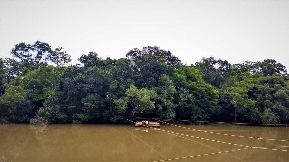 Photo of Into the Wild - Trip to Wayanad & Mudumalai by Midhun