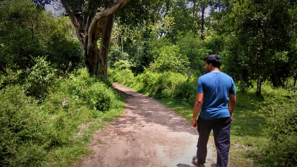 Photo of Into the Wild - Trip to Wayanad & Mudumalai by Midhun