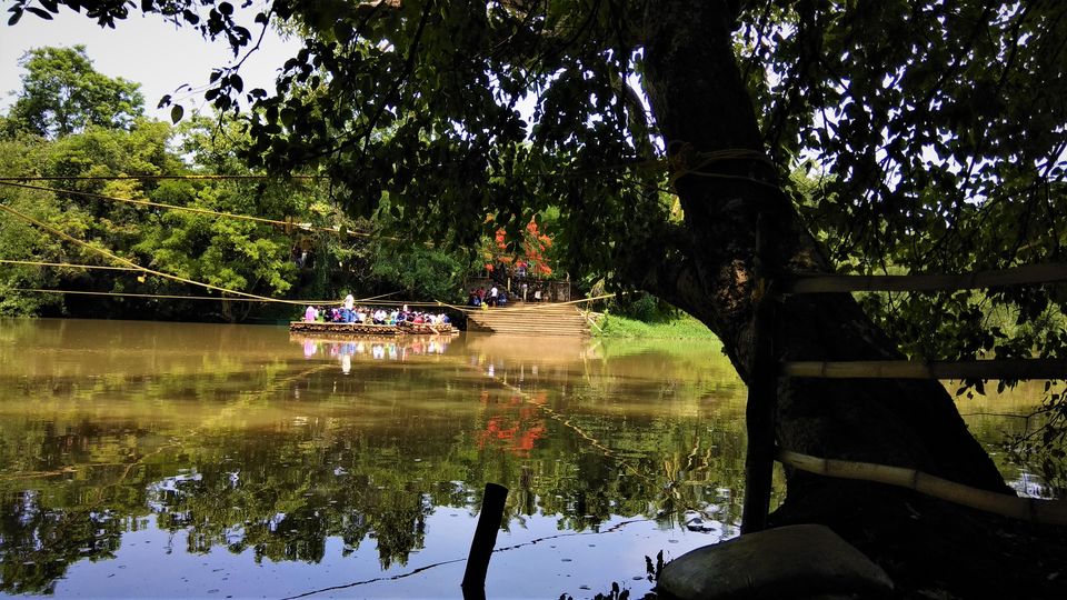 Photo of Into the Wild - Trip to Wayanad & Mudumalai by Midhun
