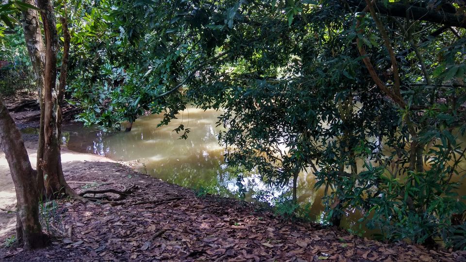 Photo of Into the Wild - Trip to Wayanad & Mudumalai by Midhun