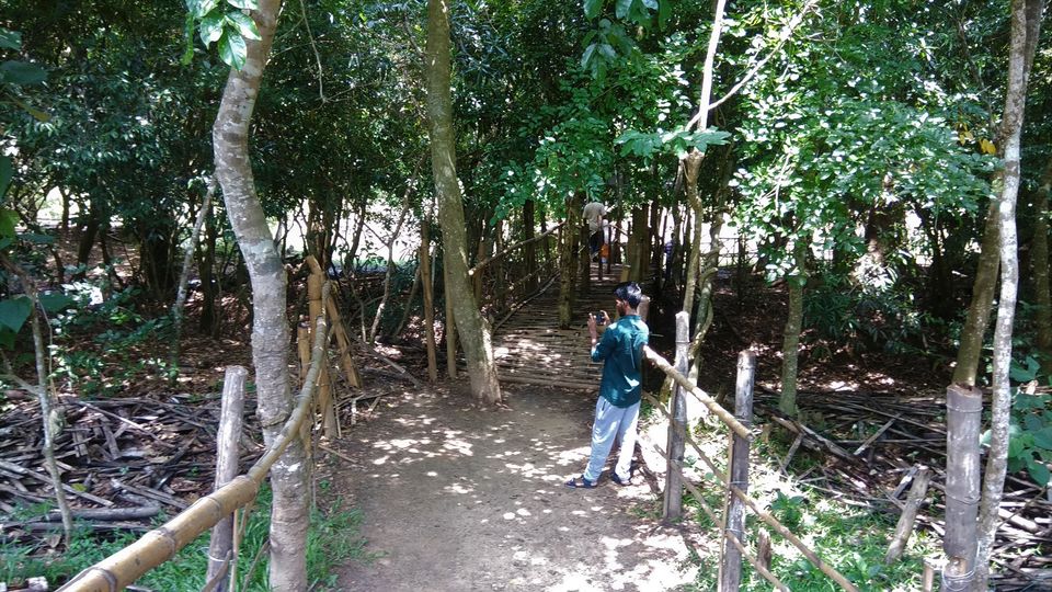 Photo of Into the Wild - Trip to Wayanad & Mudumalai by Midhun