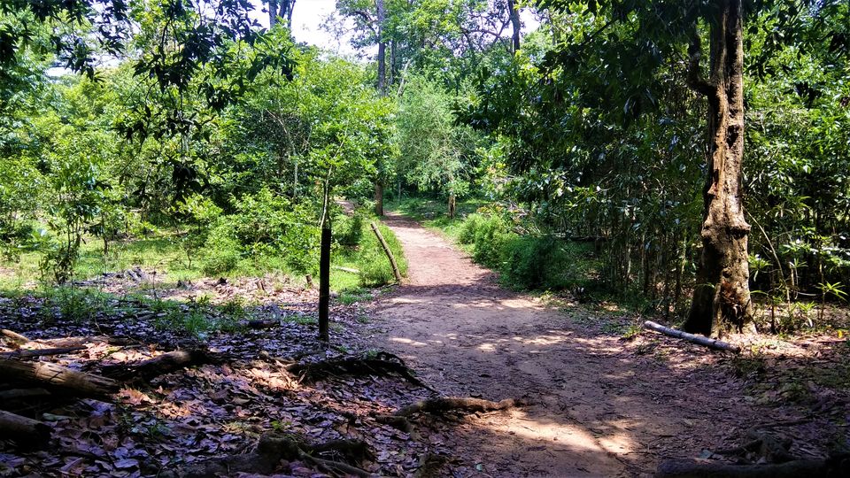 Photo of Into the Wild - Trip to Wayanad & Mudumalai by Midhun