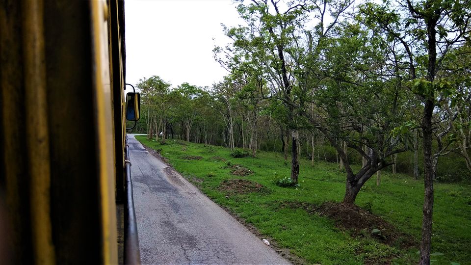 Photo of Into the Wild - Trip to Wayanad & Mudumalai by Midhun