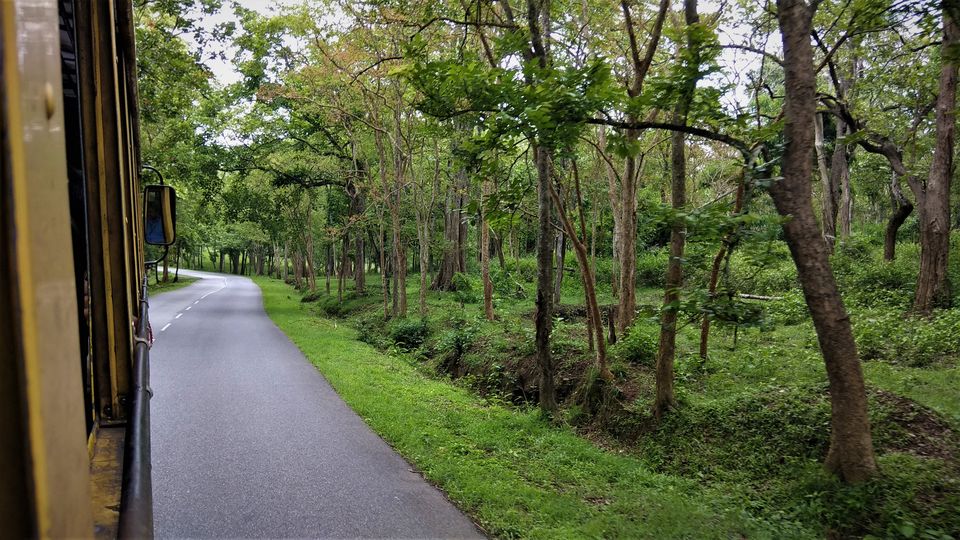 Photo of Into the Wild - Trip to Wayanad & Mudumalai by Midhun