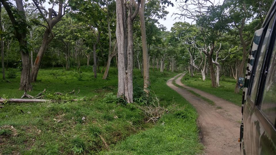 Photo of Into the Wild - Trip to Wayanad & Mudumalai by Midhun