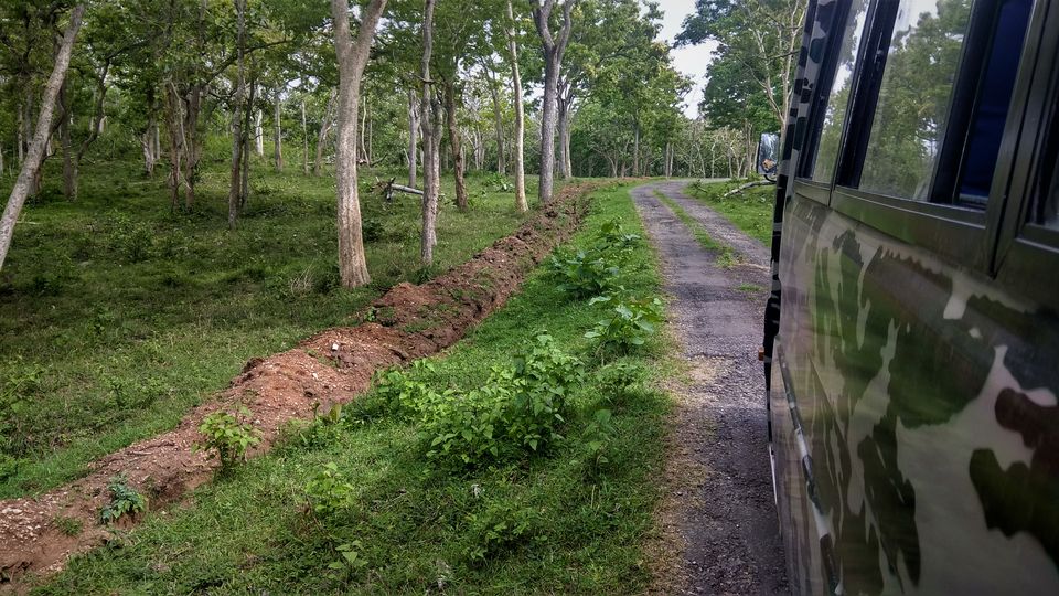 Photo of Into the Wild - Trip to Wayanad & Mudumalai by Midhun