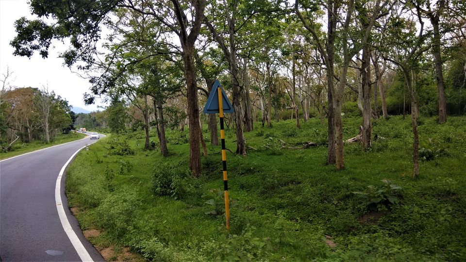 Photo of Into the Wild - Trip to Wayanad & Mudumalai by Midhun
