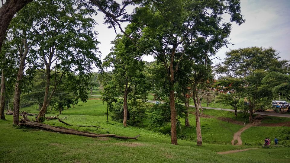 Photo of Mudumalai, Tamil Nadu, India by Midhun