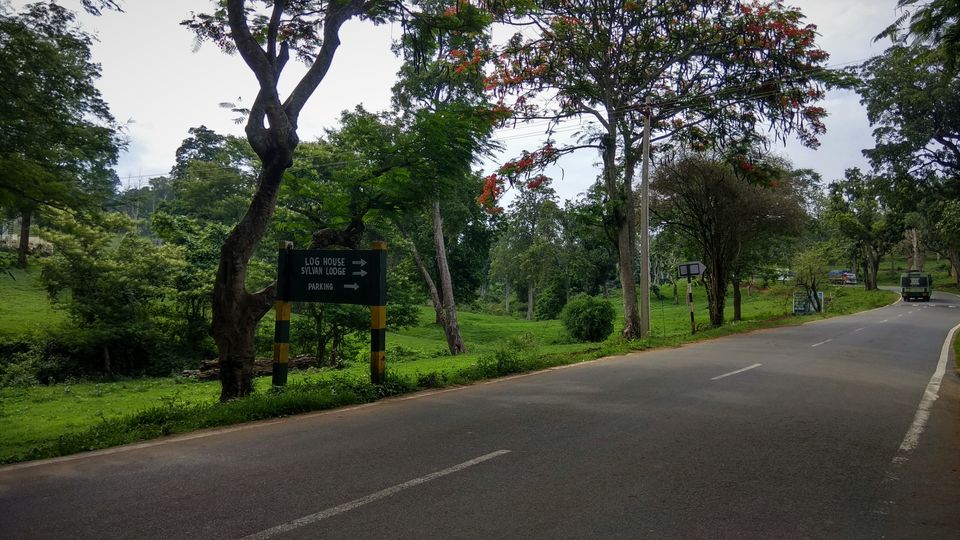 Photo of Mudumalai, Tamil Nadu, India by Midhun