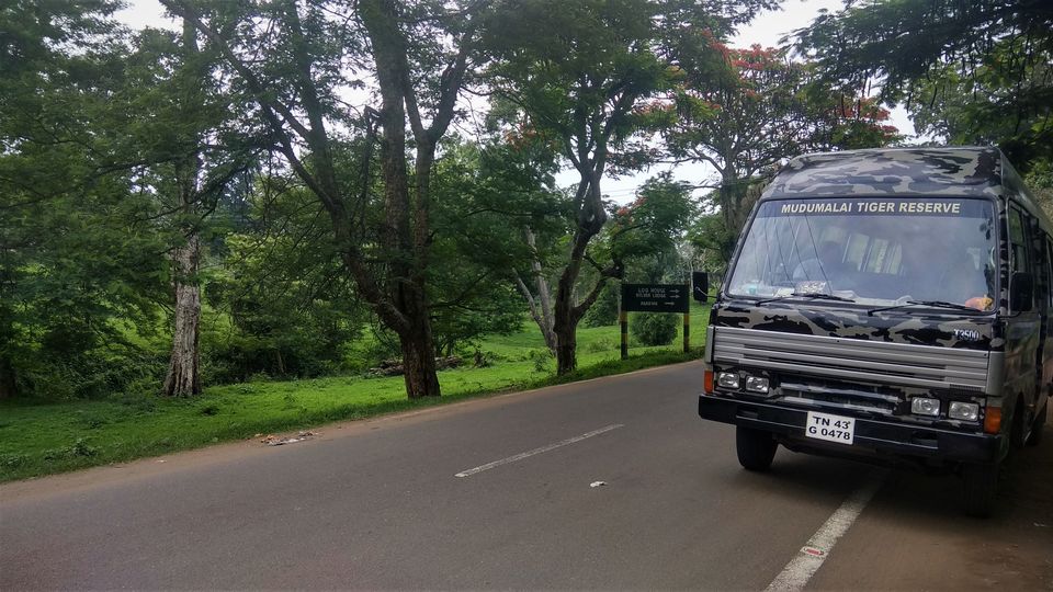 Photo of Mudumalai, Tamil Nadu, India by Midhun