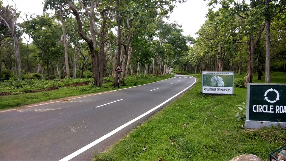 Photo of Mudumalai, Tamil Nadu, India by Midhun