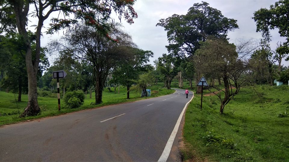 Photo of Mudumalai, Tamil Nadu, India by Midhun