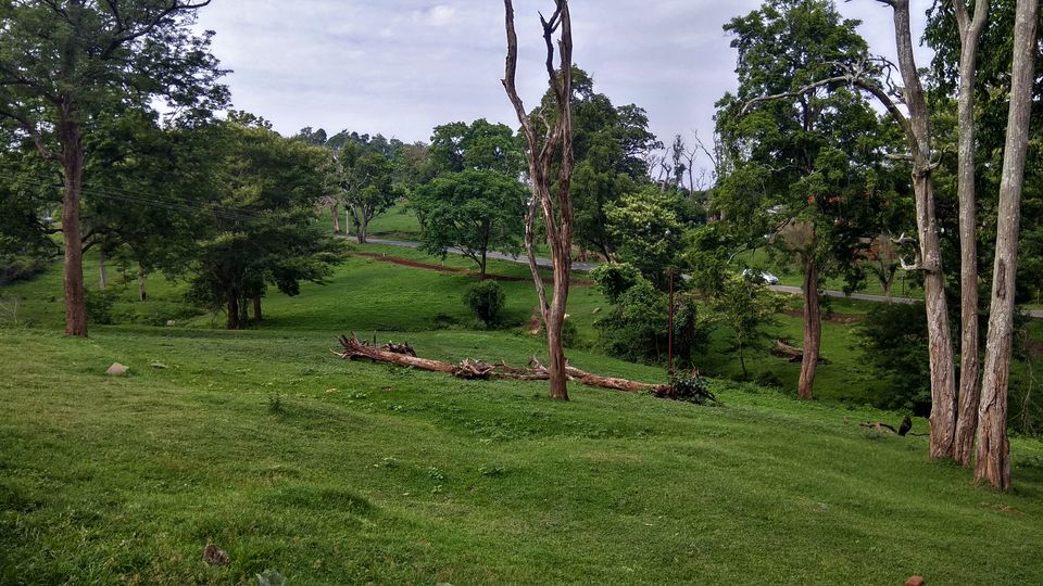 Photo of Mudumalai, Tamil Nadu, India by Midhun