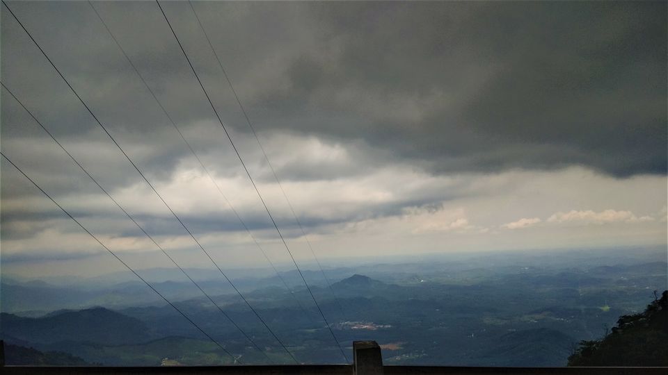 Photo of Into the Wild - Trip to Wayanad & Mudumalai by Midhun
