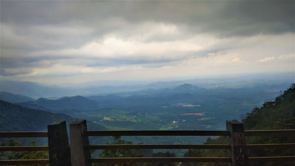 Photo of Into the Wild - Trip to Wayanad & Mudumalai by Midhun