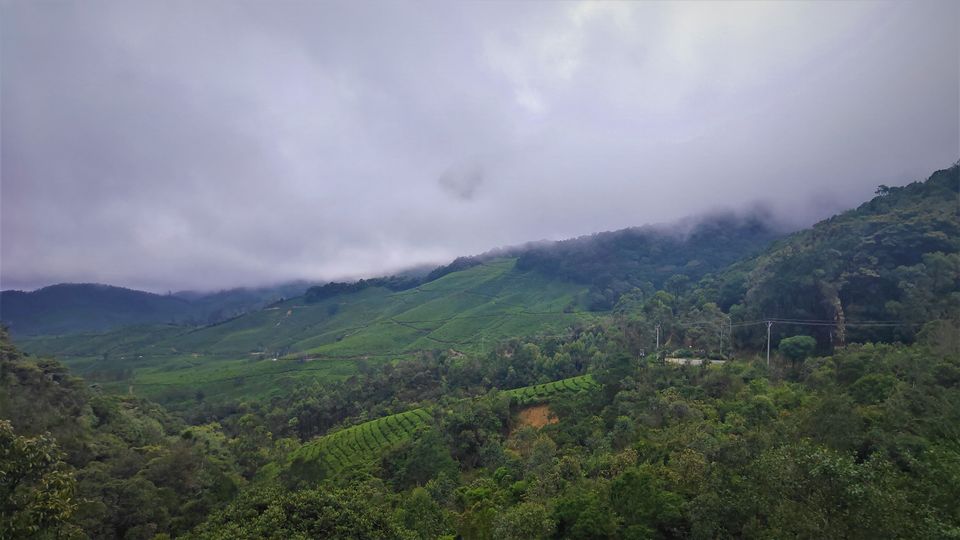 Photo of Magical Munnar Trip by Midhun