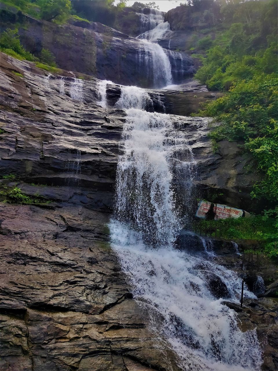 Photo of Magical Munnar Trip by Midhun