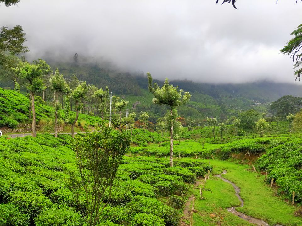 Photo of Munnar Diaries #ExploreAgain by Midhun