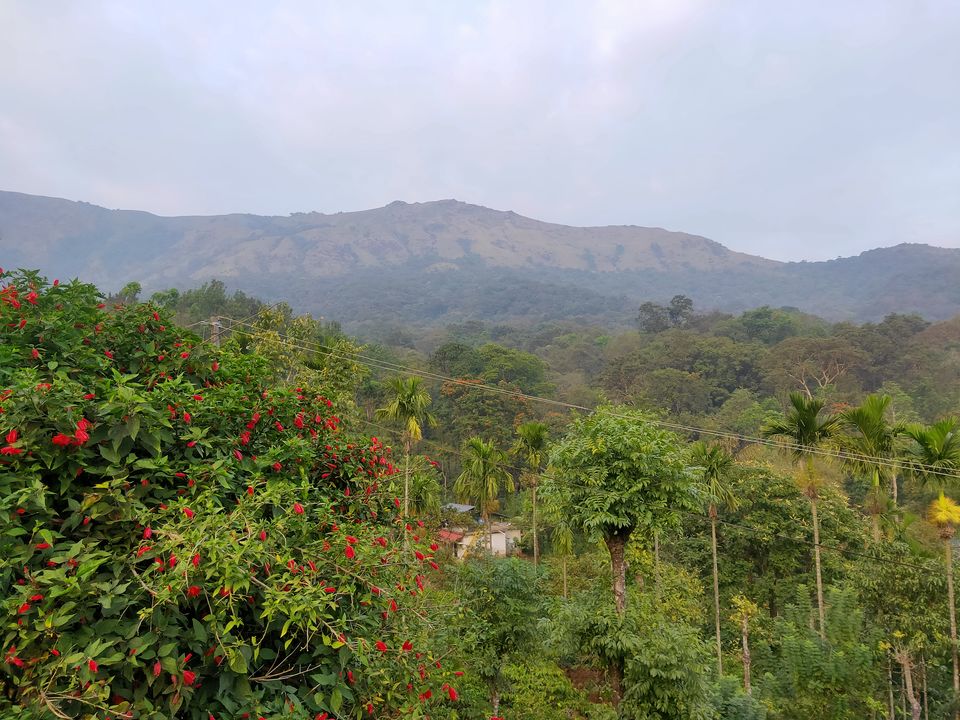 Photo of Thirunelly, Kerala, India by Midhun